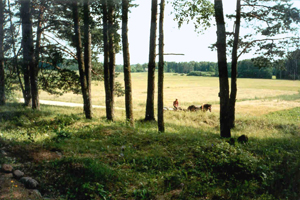 view from cemetery
