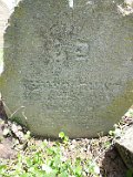 Trosnyk-tstone-055