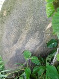 Trosnyk-tstone-081