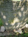 Trosnyk-tstone-124