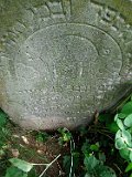 Trosnyk-tstone-148