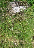 Trostyanets-tombstone-renamed-41