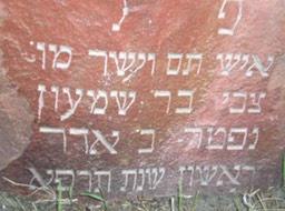 31