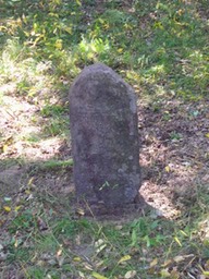 53