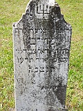 Turya_Bystraya-tombstone-21