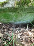 Tyushka-tombstone-018