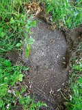 Tyushka-tombstone-020