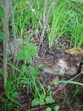 Tyushka-tombstone-056