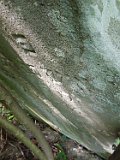 Tyushka-tombstone-104