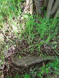 Tyushka-tombstone-118