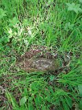 Tyushka-tombstone-124