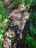 Tyushka-tombstone-162