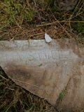 Uzhhorod-Section-1-tstone-0192
