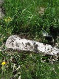 Uzhhorod-Section-2-tstone-5101