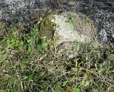 Uzhhorod-Section-3-tstone-2208