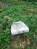Uzhhorod-Section-4-tstone-0293