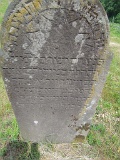 Vilkhivka-stone-083