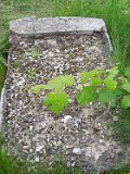 Vynohradiv-Old-tstone-0199