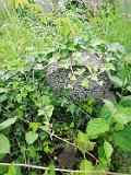 Vynohradiv-Old-tstone-0723