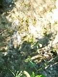 Vyshkove-tombstone-18