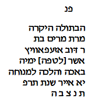 transcription
