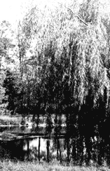 Zloczew Poland history