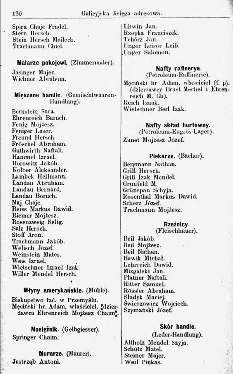 1896 Business Directory Fig 2