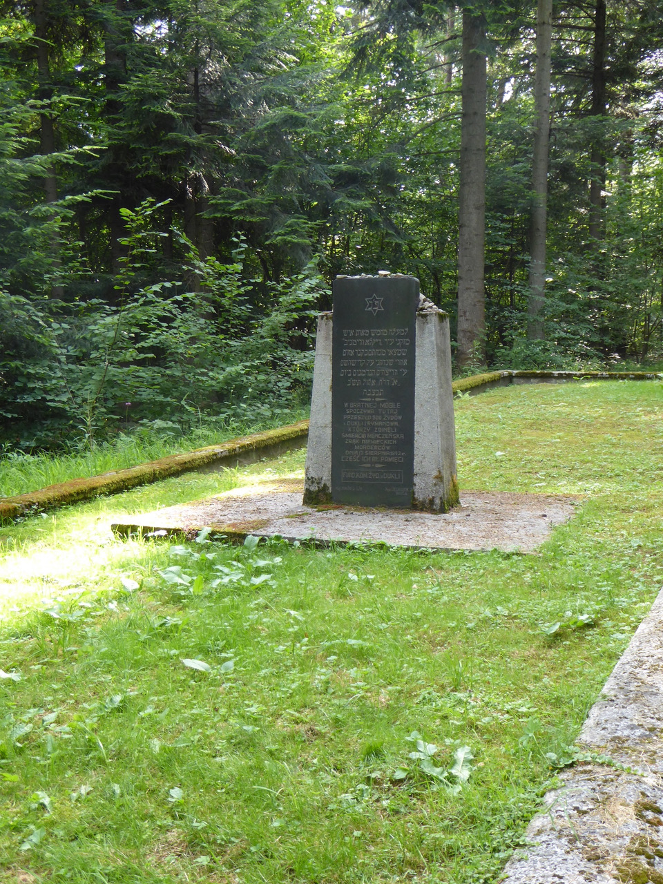 Another view of the Barwinek woods
