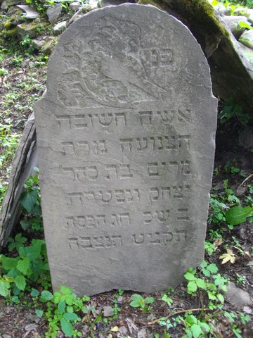 osiek