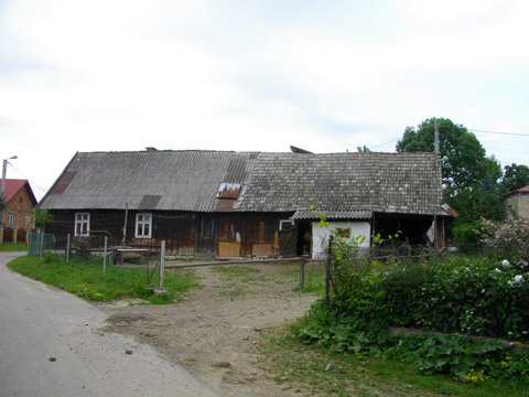 osiek