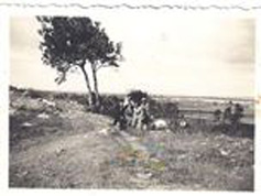 Near Pinski Farm (Lea Gruper Album)