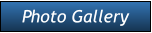Photo Gallery Photo Gallery