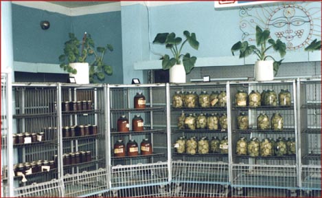 market