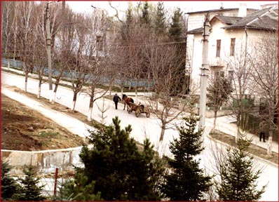 mayor