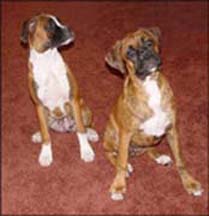 Belle and Tessie Kenvin