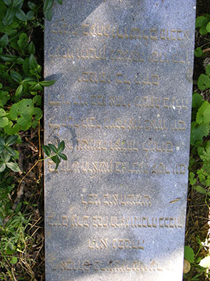 2212a.jpg