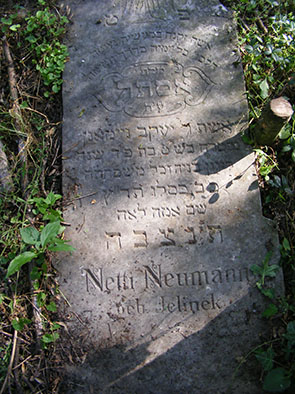 2218a.jpg