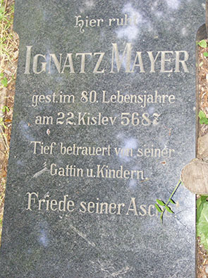 2237a.jpg