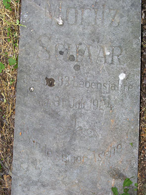 2239a.jpg