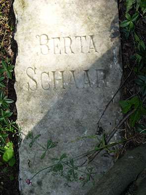 2241a.jpg