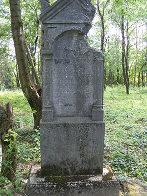 2254a.jpg