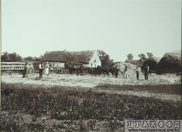 colony colony scene, 1904