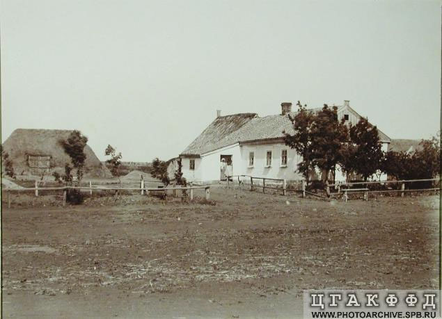 colony colony scene, 1904