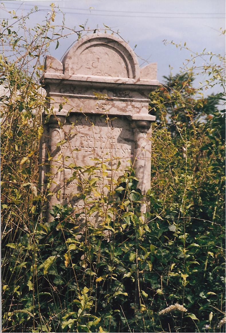 tombstone covered with grass words are blocked