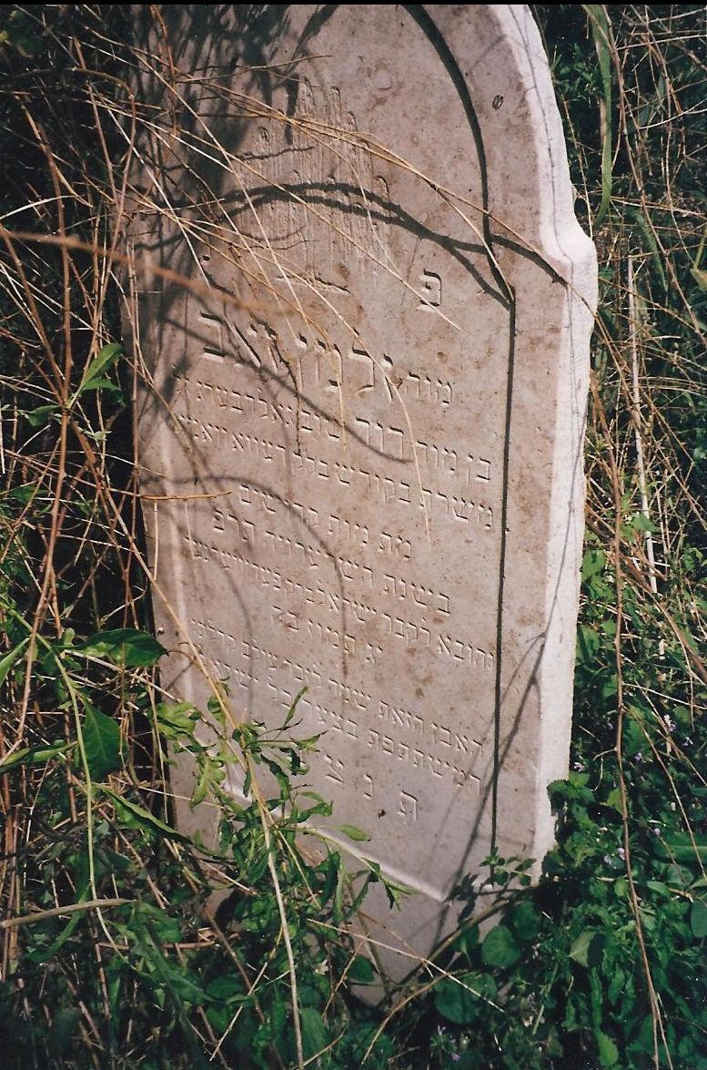 Goldberg Zalman Zev tombstone