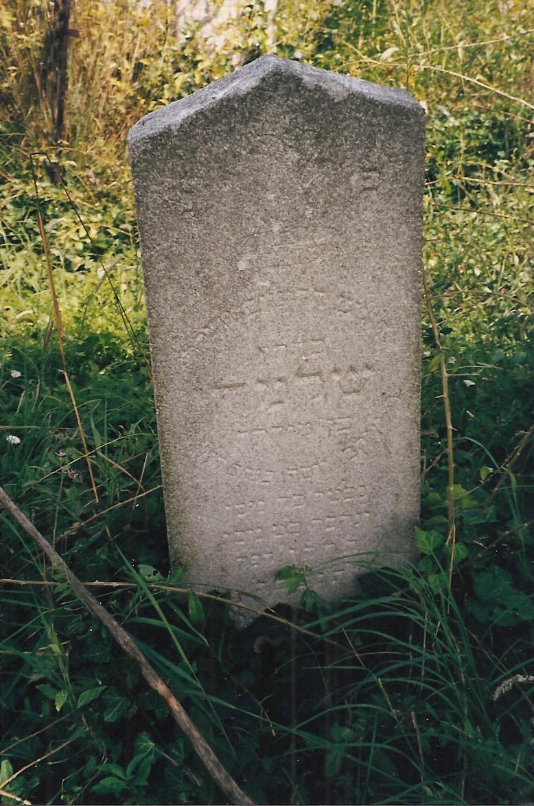 Shlomo son of Yakov Yosef Pinchas Hlevi