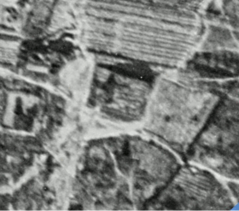 sveksna elevation on 158