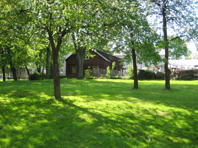 synagogue area