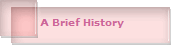 A Brief History