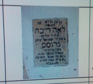 Lea Gross, Tel Aviv Deportee, Died of Typhoid, 1918, Age 48, left five kids, Husband killed by Bomb In 1917